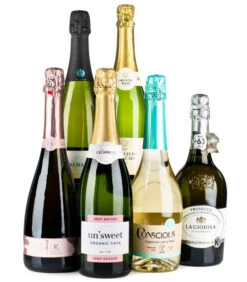 Lifestyle Sparkling Case