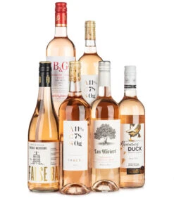 Lifestyle Rosé Case