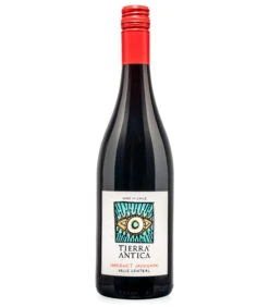 Tierra Antica Cabernet Sauvignon